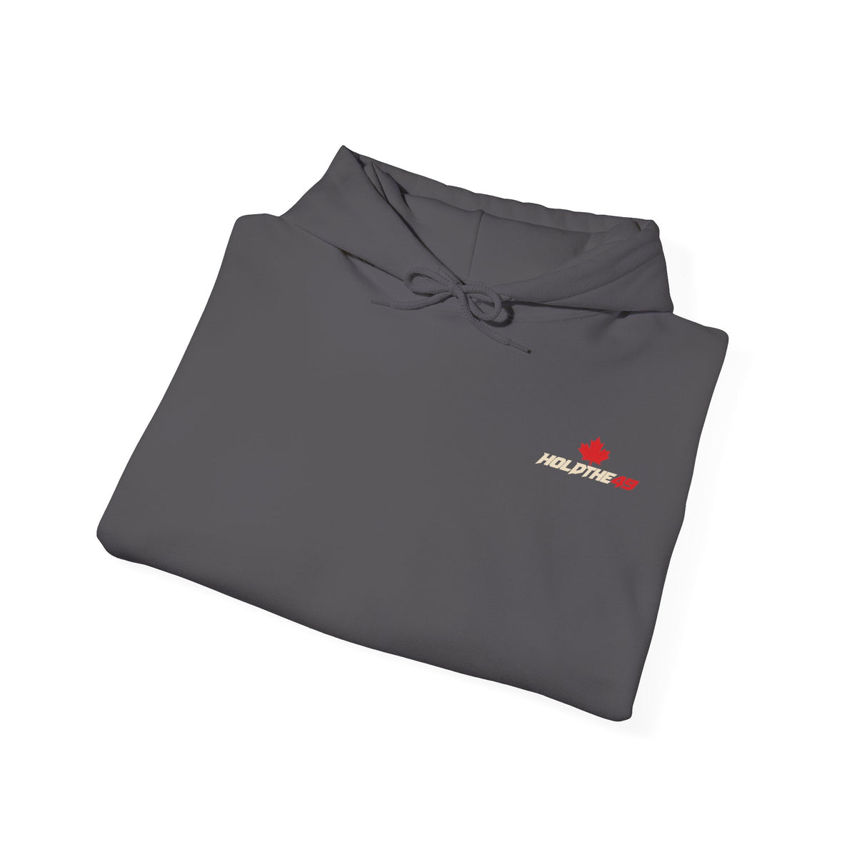 HOLDTHE49 Predator Goose Hoodie, alternate view