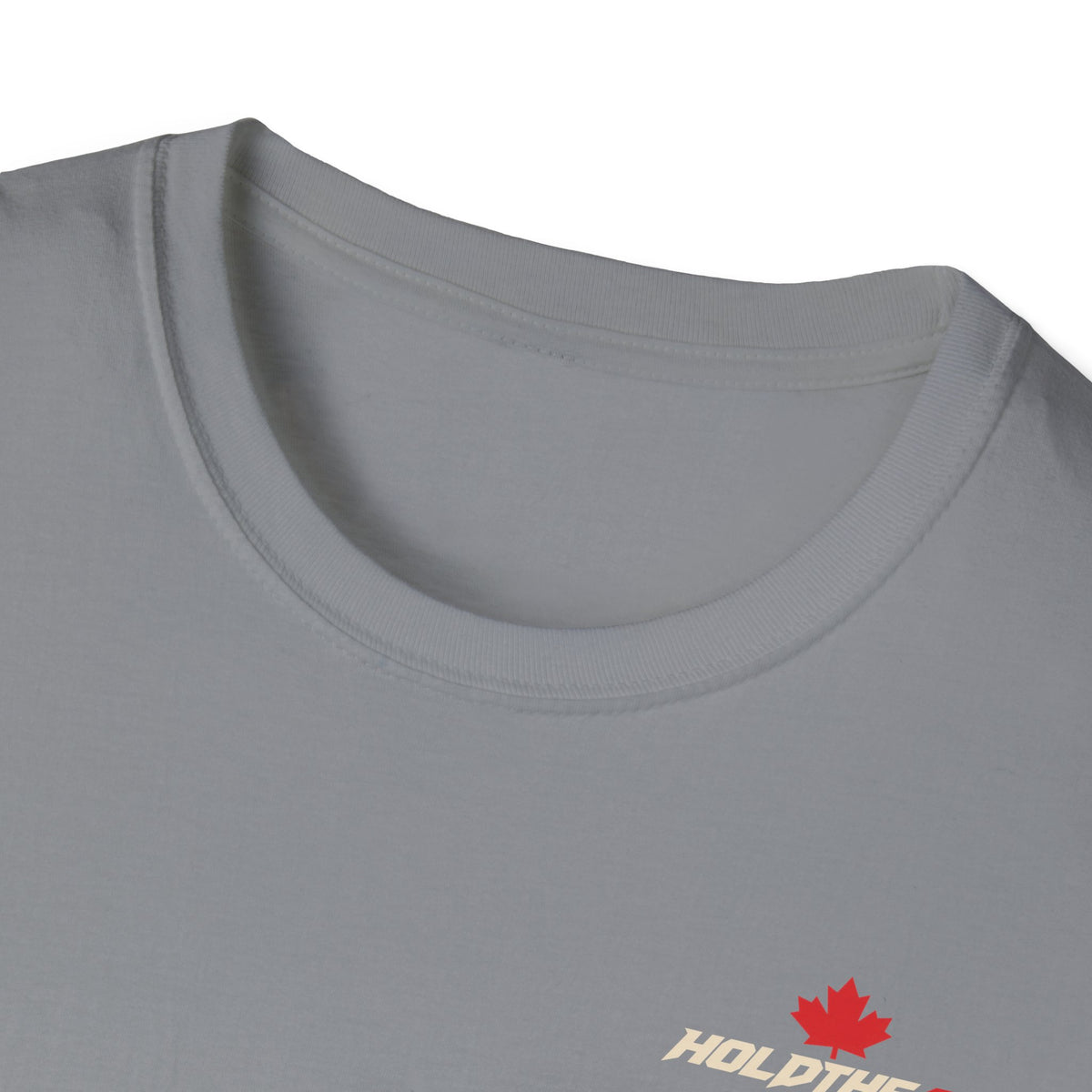 HOLDTHE49 Predator Goose Tee in Asphalt