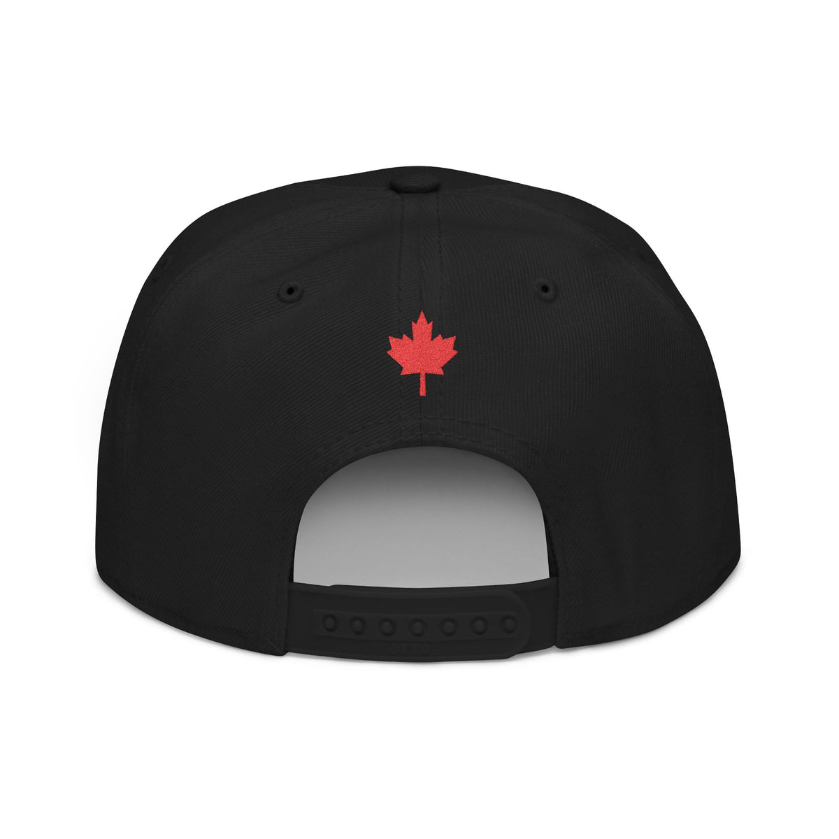 HOLDTHE49 Embroidered Large Print Snapback, alternate view