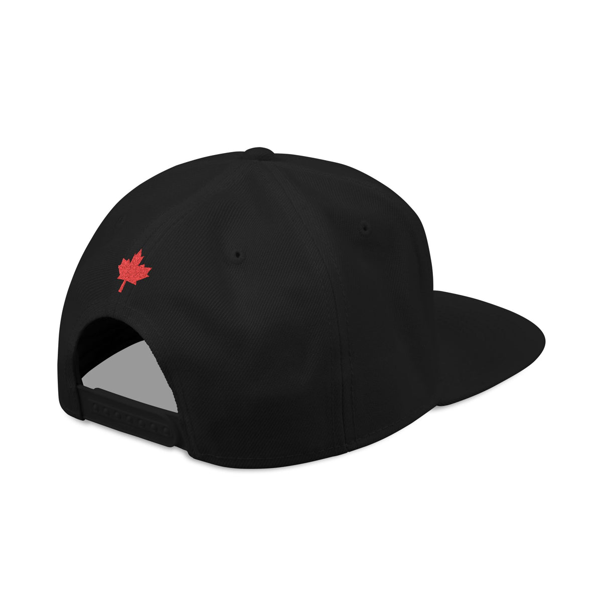 HOLDTHE49 Embroidered Subtle Print Snapback, alternate view